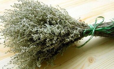 Wormwood ako prostriedok na boj proti parazitom