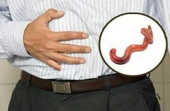 vplyv parazitov na ľudský organizmus