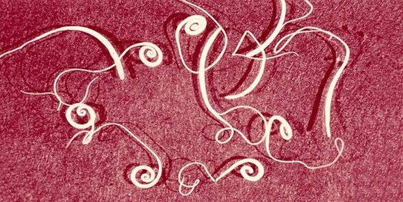 pinworms z ľudského tela